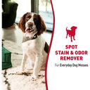 Nature's Miracle Stain & Odour Remover for Dogs – 709 ml | Enzymatic Formula | Removes Urine, Feces, Vomit & Drool