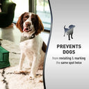 Nature's Miracle Advanced Platinum No More Marking for Dogs – 709 ml | Discourages Repetitive Marking | Essential Oil Repellent Scent