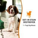 Nature's Miracle Set-In Stain Destroyer for Dogs – 709 ml | Oxy Formula | Penetrates, Separates & Lifts Deep-Set Stains & Odours
