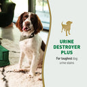 Nature's Miracle Urine Destroyer Plus for Dogs – 946 ml | Enzymatic Formula | Destroys Urine Stains, Yellow Residue & Odours