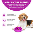 Outward Hound Fun Feeder Mini/Medium Slow Feed Bowl – Purple | 2 Cup Capacity | Slows Eating Up to 10x | For Small to Medium Dogs
