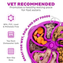 Outward Hound Fun Feeder Mini/Medium Slow Feed Bowl – Purple | 2 Cup Capacity | Slows Eating Up to 10x | For Small to Medium Dogs