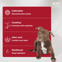 Soft Care PSK Repair System for Dogs & Cats – 50 g | Skin Recovery Lotion for Wounds, Burns & Irritated Skin