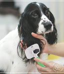 Wahl Self-Cleaning Slicker Brush – Large | Pet Combs & Brushes
