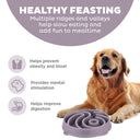Outward Hound Fun Feeder Yin Yang Slow Bowl for Dogs – Large | Reduces Bloat & Overeating