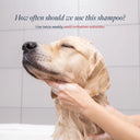 Veterinary Formula Clinical Care Hot Spot & Itch Relief Medicated Shampoo – 16 oz | Lidocaine & Hydrocortisone | For Dogs & Cats 12 Weeks+