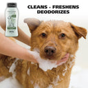 Wahl Odor Control Shampoo for Dogs – 700 ml | Eucalyptus & Spearmint, Plant-Derived Deodorising Formula