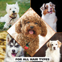 Wahl Shed Control Shampoo for Dogs – 700 ml | Lemongrass & Sage, Reduces Shedding & Dander