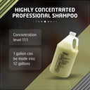 Wahl Oatmeal Ease Shampoo – 1 Gallon | 11:1 Colloidal Oatmeal Concentrate | Soothes Skin & Removes Odours