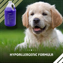 Wahl Absolute Purple Whitening Shampoo – 1 Gallon | Brightens White Coats, Removes Oxidation & Food Stains | For Dogs, Cats & More