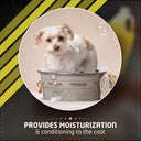 Wahl Absolute Purple Whitening Shampoo – 1 Gallon | Brightens White Coats, Removes Oxidation & Food Stains | For Dogs, Cats & More