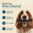 Zazu & Co Blueberry Himalayan Yak Chew for Dogs | Long-Lasting Natural Chew | High-Protein, Gluten-Free & Grain-Free | No Preservatives