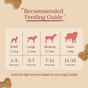 Zazu & Co Chicken & Sweet Potato Dog Treats – 150 g | Human Grade, High-Protein, Gluten-Free | Slow-Baked | No Preservatives, Salt or Sugar
