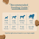 Zazu & Co Blueberry Bliss Natural Dog Treats – 150 g | Human Grade, Gluten-Free, Vegetarian | Slow-Baked | No Preservatives, Salt or Sugar