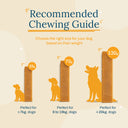 Zazu & Co Mango Himalayan Yak Chew for Dogs | Long-Lasting Natural Chew | High-Protein, Gluten-Free & Grain-Free | No Preservatives