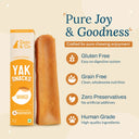 Zazu & Co Mango Himalayan Yak Chew for Dogs | Long-Lasting Natural Chew | High-Protein, Gluten-Free & Grain-Free | No Preservatives