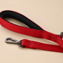 Zazu & Co Basic Webbing Dog Leash – 145 cm | Mesh-Padded Handle | Metal D-Ring