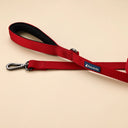 Zazu & Co Basic Webbing Dog Leash – 145 cm | Mesh-Padded Handle | Metal D-Ring