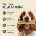 Zazu & Co Original Himalayan Yak Chew for Dogs | Long-Lasting Natural Chew | High-Protein, Gluten-Free & Grain-Free | No Preservatives