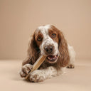 Zazu & Co Original Himalayan Yak Chew for Dogs | Long-Lasting Natural Chew | High-Protein, Gluten-Free & Grain-Free | No Preservatives